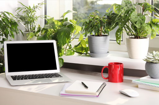 Bookkeeping for wellness professionals - organized desk